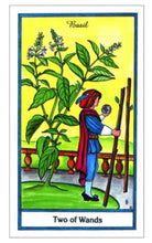 Load image into Gallery viewer, THE HERBAL TAROT CARDS