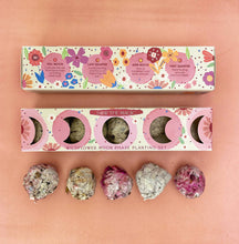 Load image into Gallery viewer, Moon Phase Wild Flower Seed Planting Set