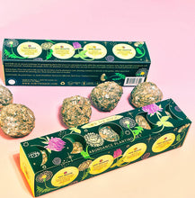 Load image into Gallery viewer, Abundance Moon Phase Planting Set