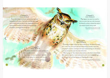 Load image into Gallery viewer, Harry Potter: A Magical Year -- The Illustrations of Jim Kay