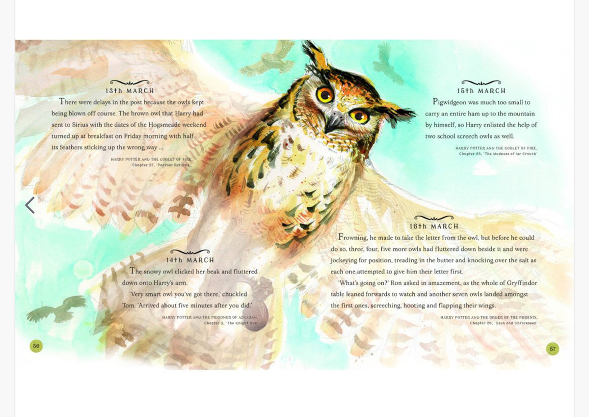 harry potter chapter art owl