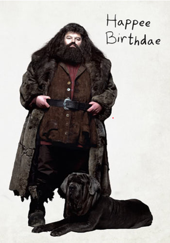 Harry Potter Pop-Up Greeting Card: BIRTHDAE