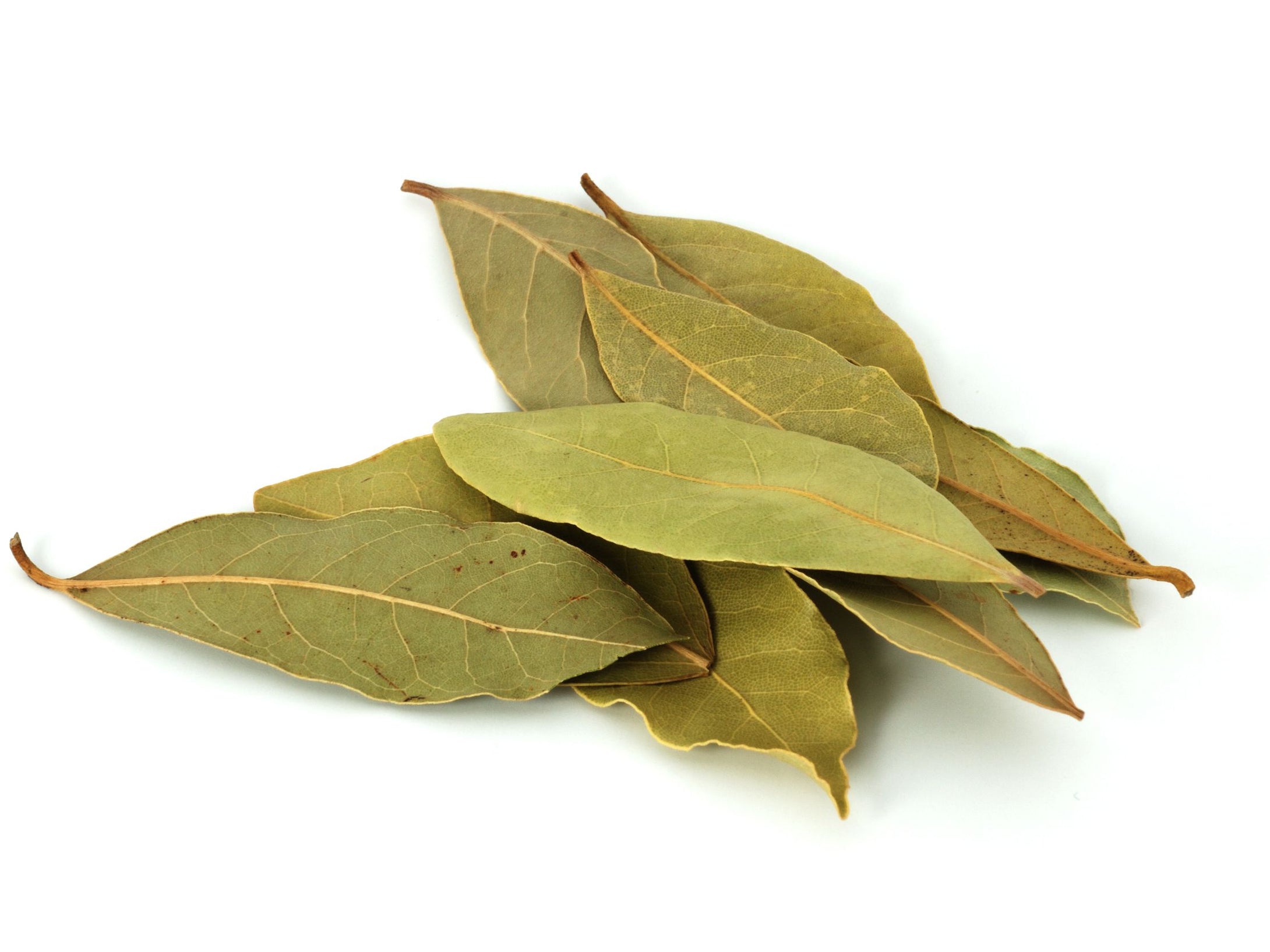 BAY LEAVES