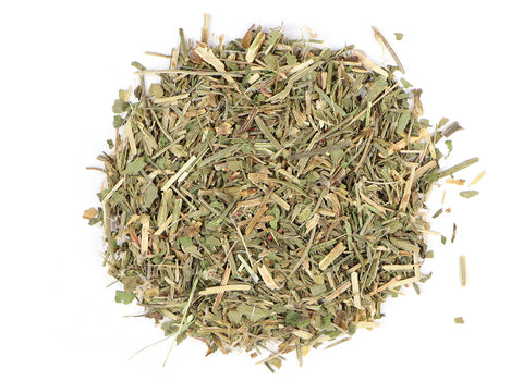 SHEEP SORREL