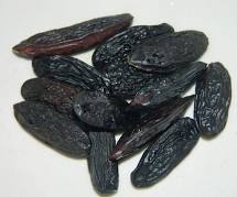 TONKA BEANS